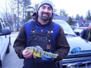 SAMSUNG DIGIMAX A503