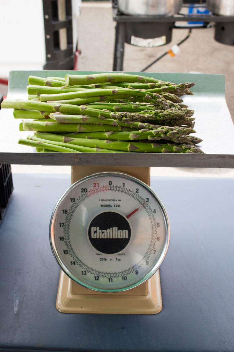 Empire Asparagus Festival Glen Arbor Sun