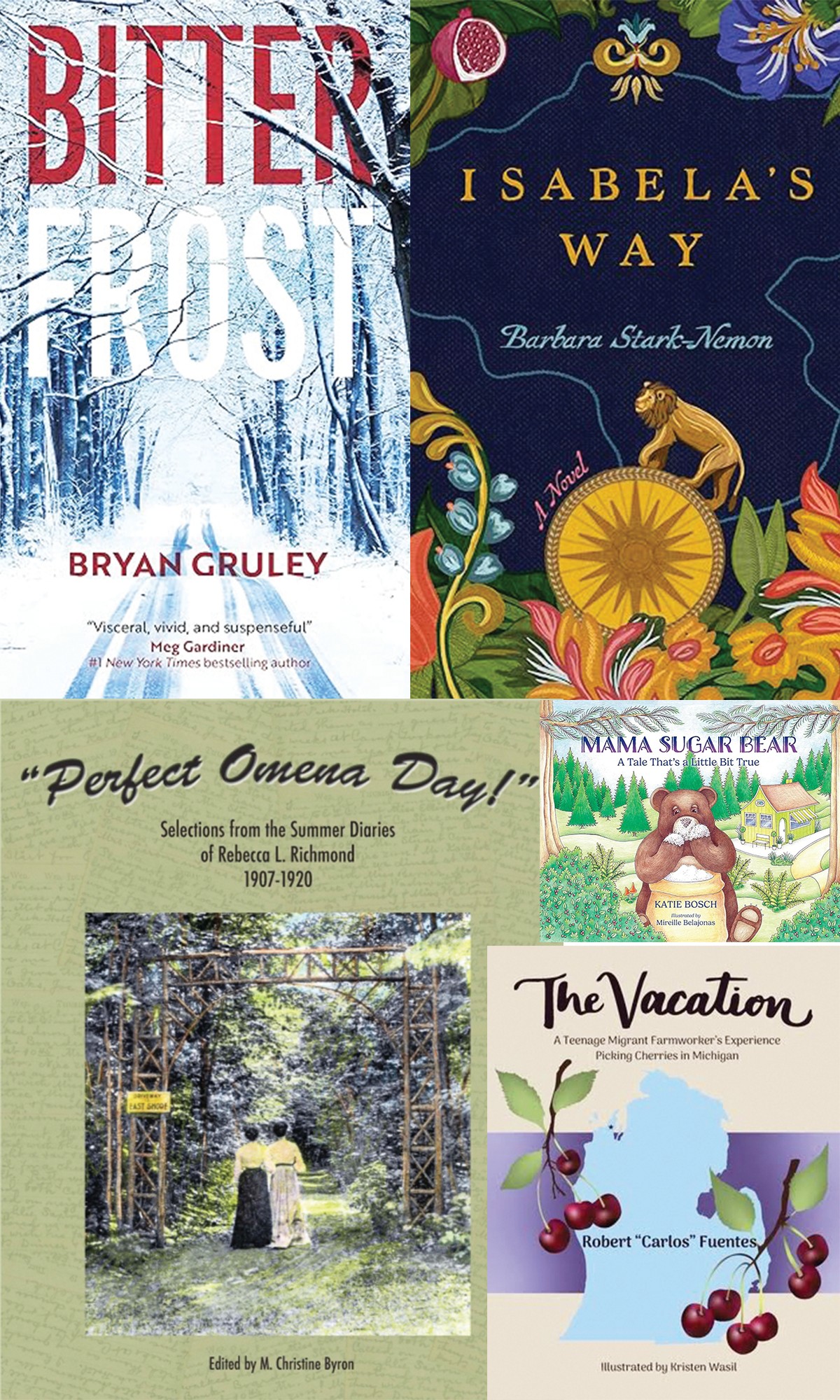 Leelanau Holiday reads: 2025 books by local authors