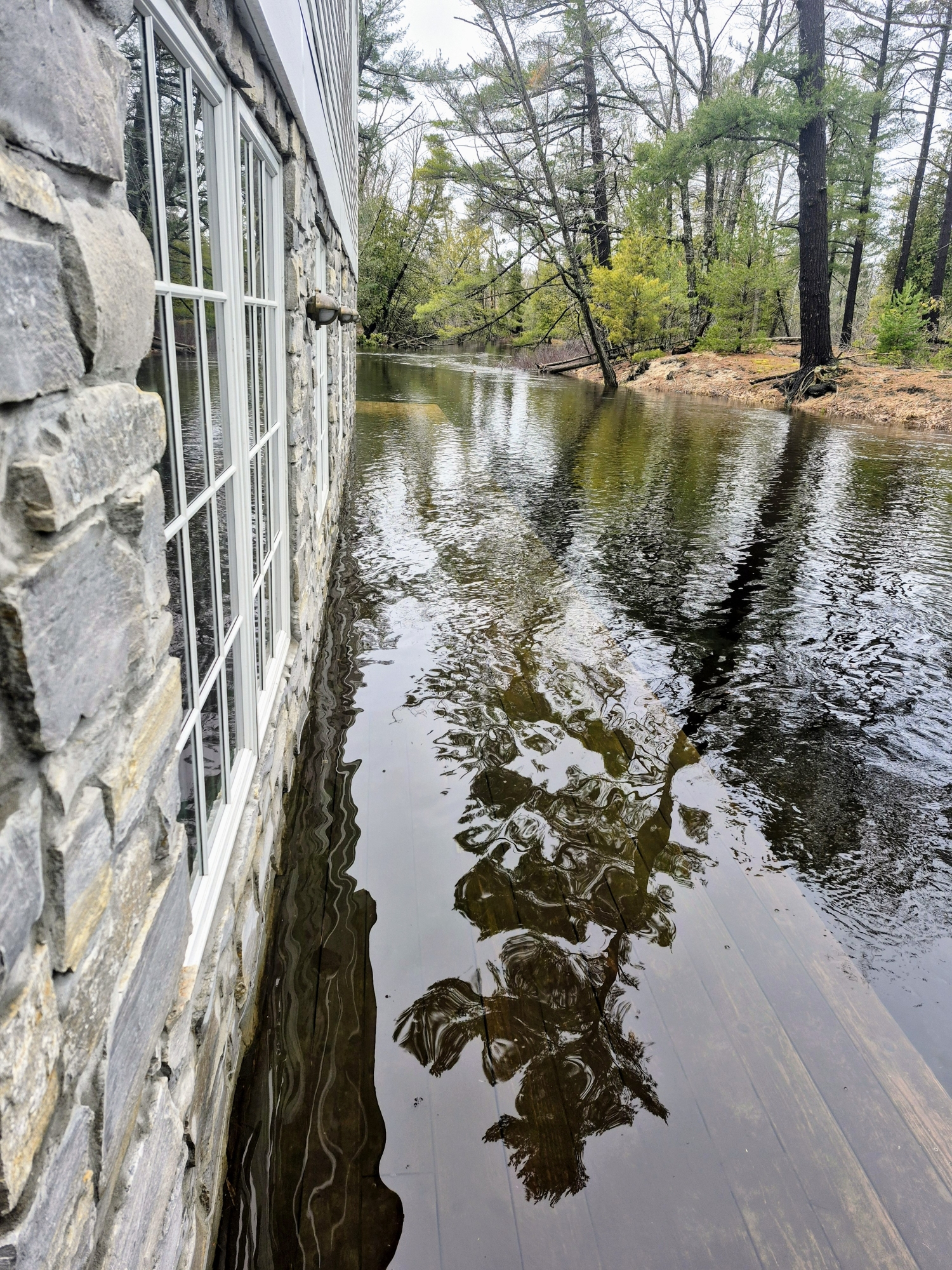 Crystal River high water: an omen and a lesson in resilience