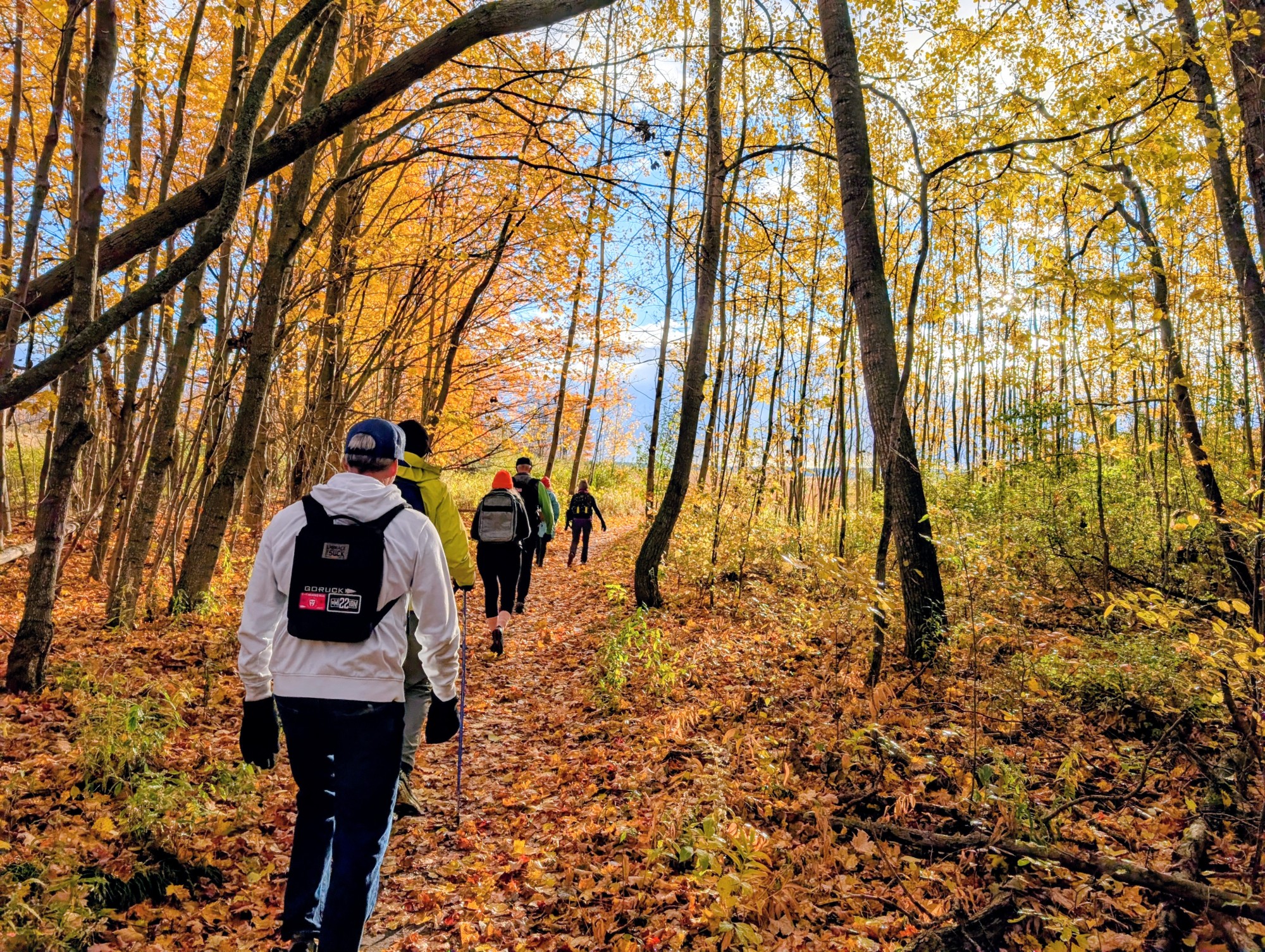 Leelanau Wellness Collective hosts well-being summit